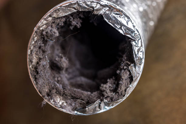 Best Dryer Vent Cleaning in Newport, AR